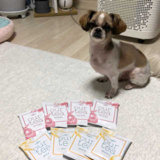 (주)쟈뎅 [쟈뎅] 아워티 — 4점을 준 리뷰어가 2019년 8월 올린 사용 사진