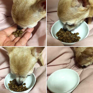 니키님이 올린 리뷰 사진 2