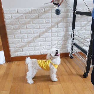 민동2님이 올린 리뷰 사진 2