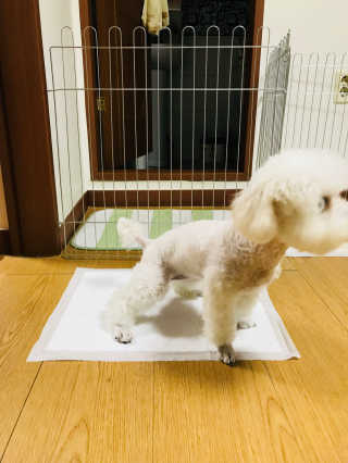 우수현님이 올린 리뷰 사진 3