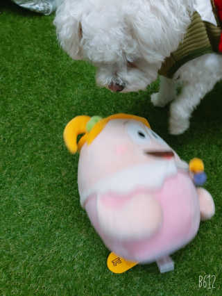 썸이님이 올린 리뷰 사진 2