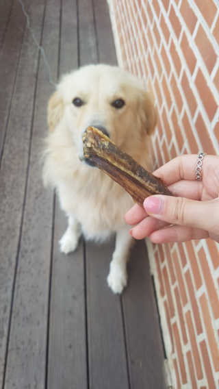 찡님이 올린 리뷰 사진 2