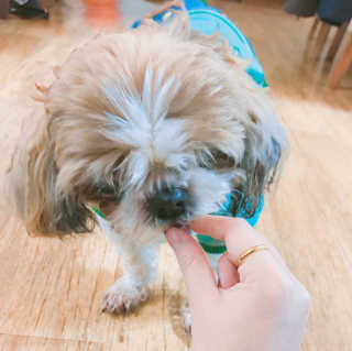 최수영님이 올린 리뷰 사진 4