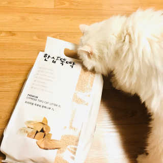 윤느님이 올린 리뷰 사진 2