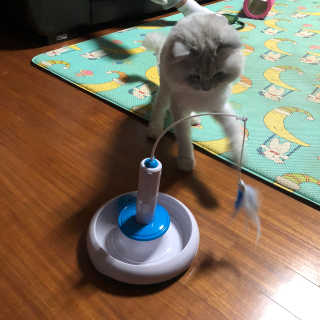 hyesu님이 올린 리뷰 사진 2