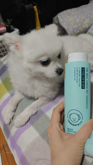 이누닷님이 올린 리뷰 사진 3