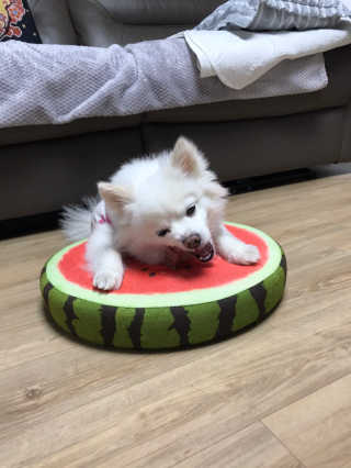 밍크찡님이 올린 리뷰 사진 4