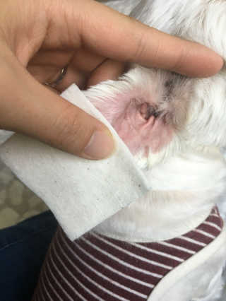 최승연님이 올린 리뷰 사진 3