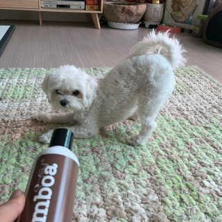 뜽혜님이 올린 리뷰 사진 3