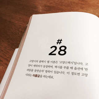 융이님이 올린 리뷰 사진 2