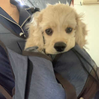 Ghhryh님이 올린 리뷰 사진 1