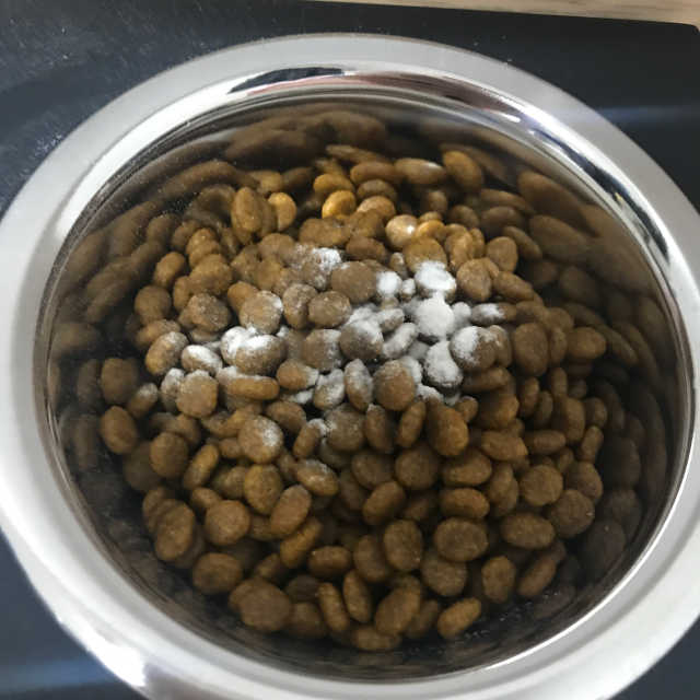 제로우 펫 도필러스 반려동물 유산균 영양제 70.5g 리뷰 사진
