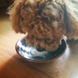 포이로이님이 올린 리뷰 사진 3