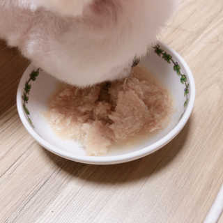[펫토리아] 토로토로 하치  강아지 파우치간식 — 5점을 준 리뷰어가 2019년 6월 올린 사용 사진
