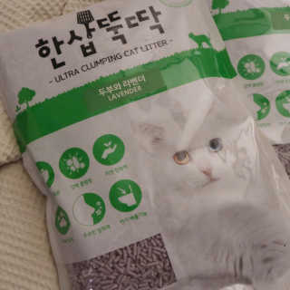 MIRA님이 올린 리뷰 사진 2