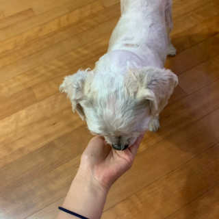 소연님이 올린 리뷰 사진 3