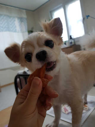 정혜수님이 올린 리뷰 사진 3