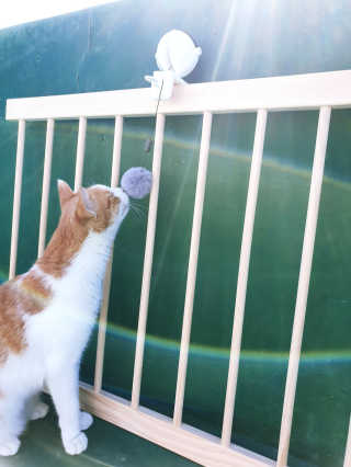 최정임님이 올린 리뷰 사진 4