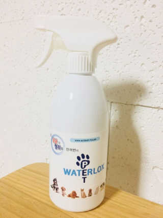 정선님이 올린 리뷰 사진 1