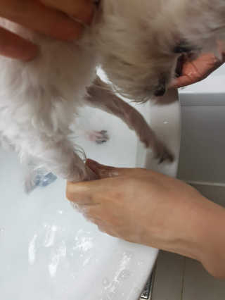 제니님이 올린 리뷰 사진 3