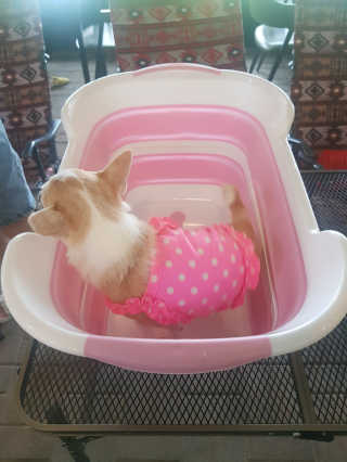 꾸꾸엄마님이 올린 리뷰 사진 2