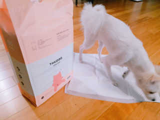 YouReena님이 올린 리뷰 사진 2