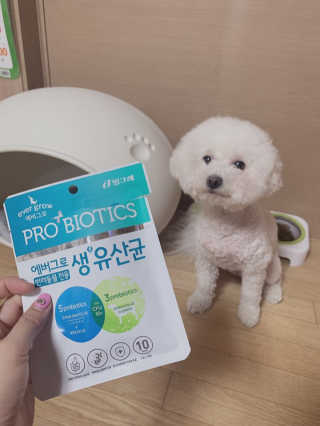 [빙그레] 에버그로 생유산균 1봉（10포입）+펫밀크2팩 — 5점을 준 리뷰어가 2019년 5월 올린 사용 사진
