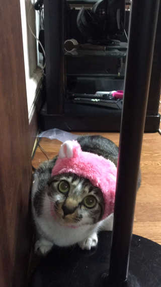 다니당근님이 올린 리뷰 사진 3