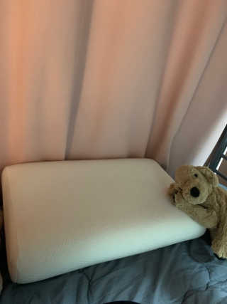 로이아빠님이 올린 리뷰 사진 1