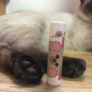 더블리스풀독 샤이니 포우 버터 0.15oz [천연 발바닥 보호제] — 4점을 준 리뷰어가 2018년 7월 올린 사용 사진