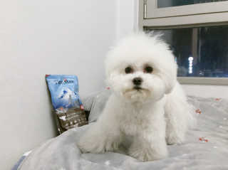 박리뷰왕님이 올린 리뷰 사진 1