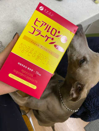 한국맥널티 맥널티 히알루론산 콜라겐 플러스 14개입 — 4점을 준 리뷰어가 2019년 12월 올린 사용 사진