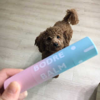 stribling님이 올린 리뷰 사진 3
