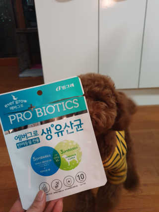 미세쓰킴님이 올린 리뷰 사진 2
