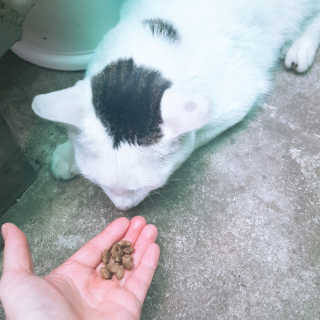 🎀딸 ♥️랑 🔆구🍭님이 올린 리뷰 사진 2