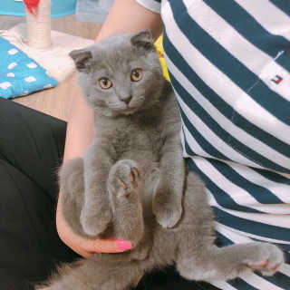 박기련님이 올린 리뷰 사진 2