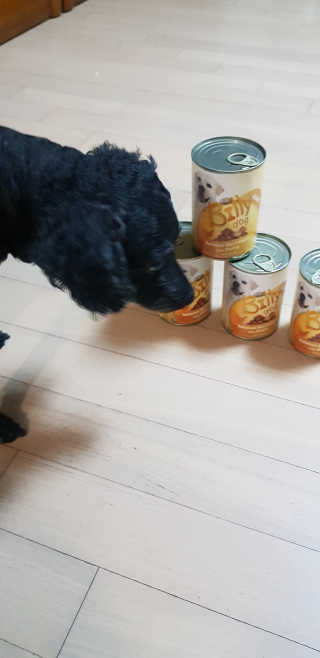 Green님이 올린 리뷰 사진 2