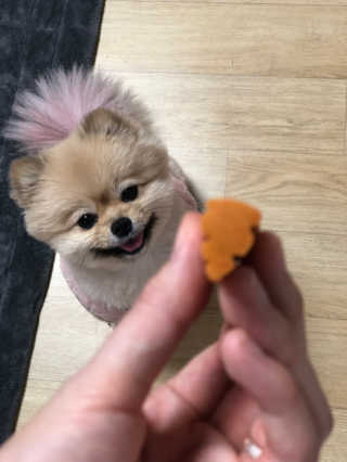 berryjjung님이 올린 리뷰 사진 4