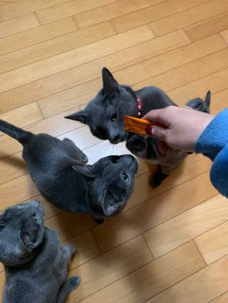 김꽁꽁님이 올린 리뷰 사진 3