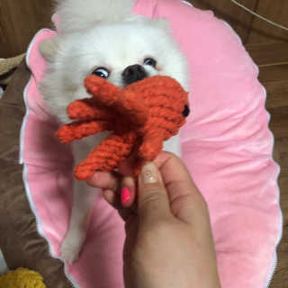 young님이 올린 리뷰 사진 2