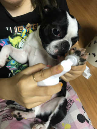 오수빈님이 올린 리뷰 사진 4