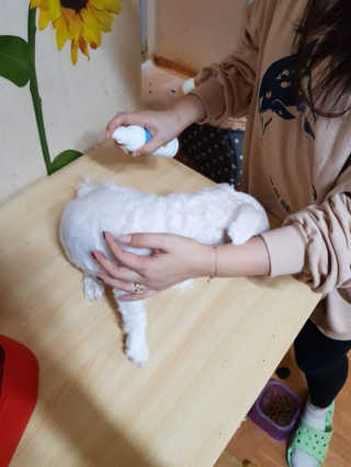 BoRamLee님이 올린 리뷰 사진 2