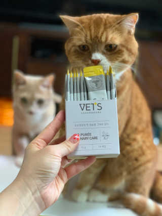 선짱님이 올린 리뷰 사진 1