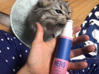 배융빵님이 올린 리뷰 사진 4