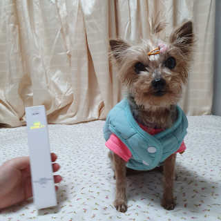 솜희님이 올린 리뷰 사진 3
