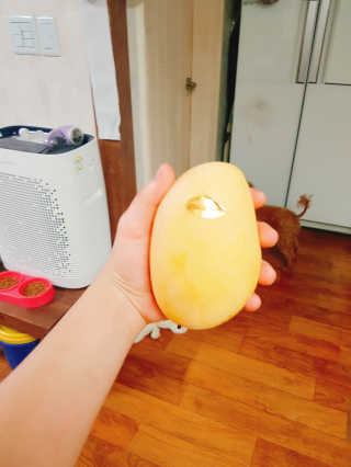 이예림님이 올린 리뷰 사진 2