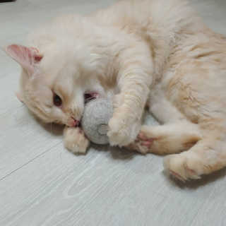Lim님이 올린 리뷰 사진 2