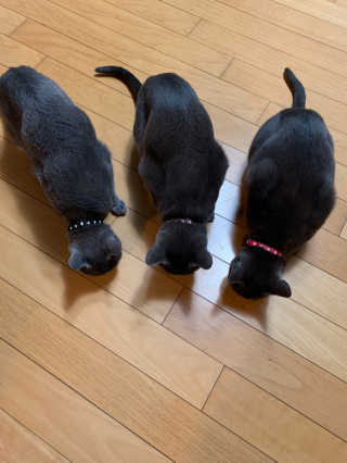 김꽁꽁님이 올린 리뷰 사진 4