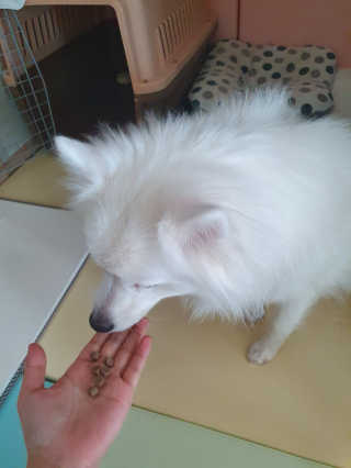 앙꼬빠진찐빵님이 올린 리뷰 사진 2