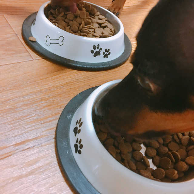 컴플리트 오리지널 리뷰 사진